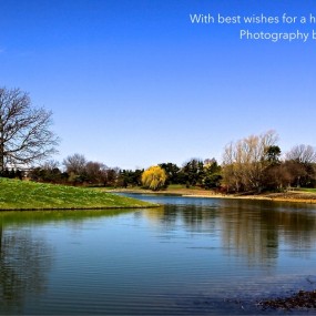 芝加哥郊区的春天