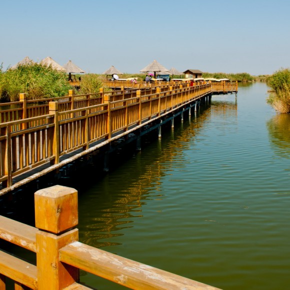 新人报到！多多关照！