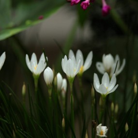 0820无事，随拍。