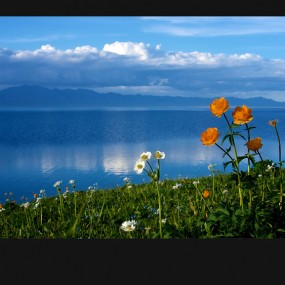 美丽中国：晨钟暮鼓行色时，朝花夕拾与君共（1）