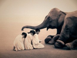 [当代艺术] Gregory Colbert-加拿大