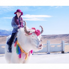 青海湖-茶卡盐湖旅行拍摄