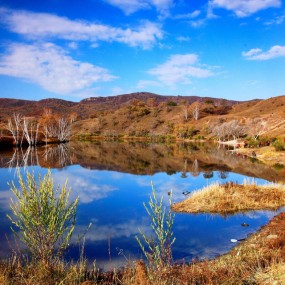 新秋摇落意 只似旧秋时