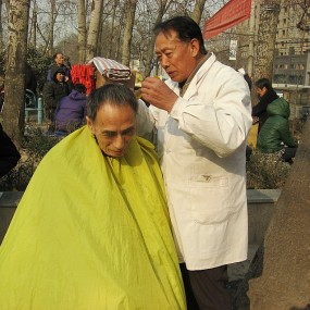 芸芸众生——小树林（随拍）