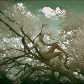 Pilgrim作品全集（五）